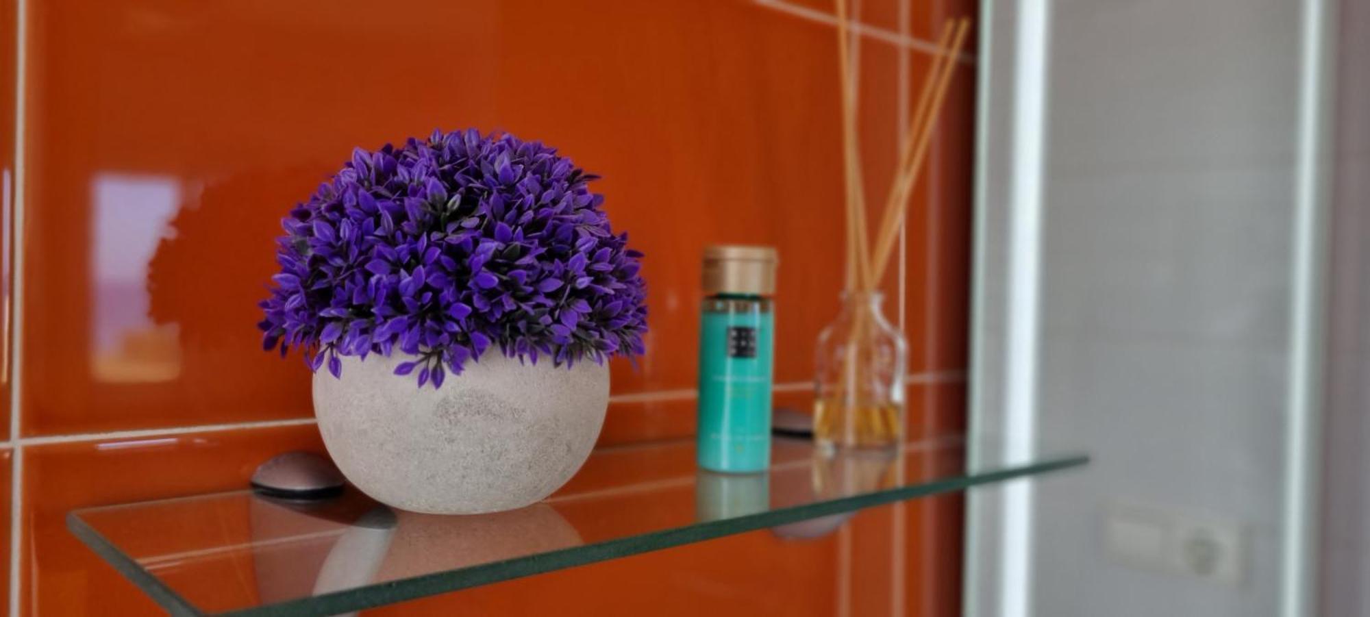 Apartamento Junto Al Mar Oliva Dış mekan fotoğraf